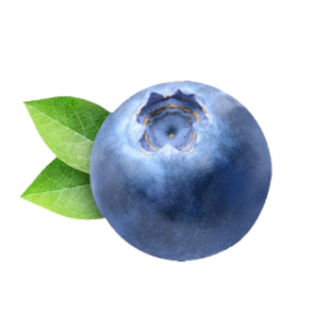Blueberry-PNG-Clipart.png